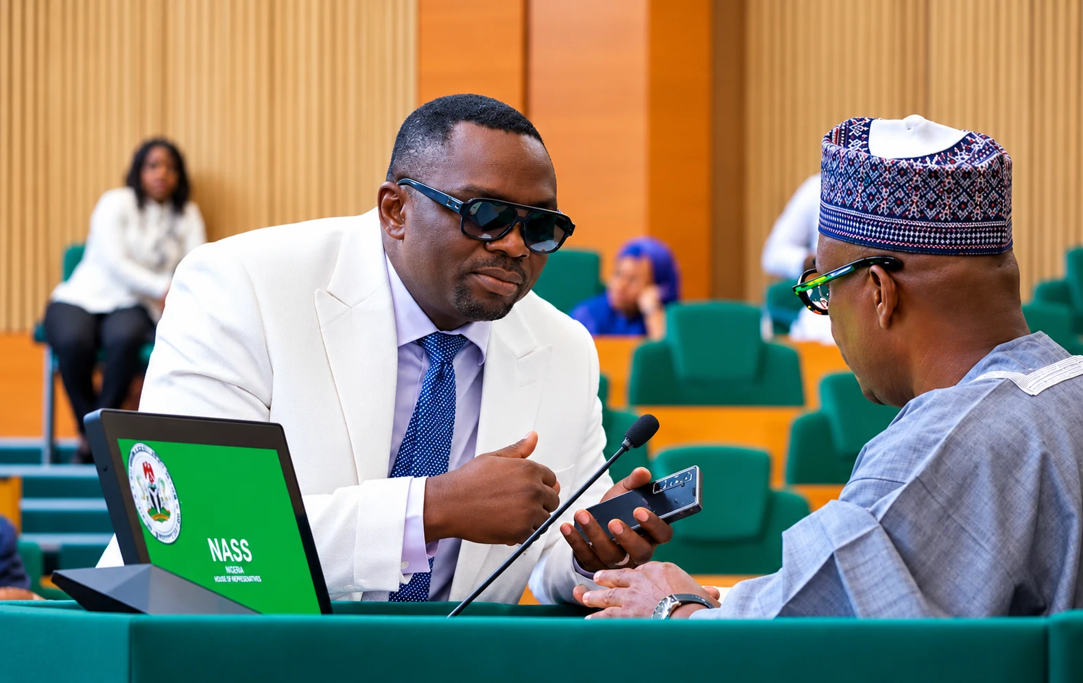 Parliamentary consultation in Nigeria